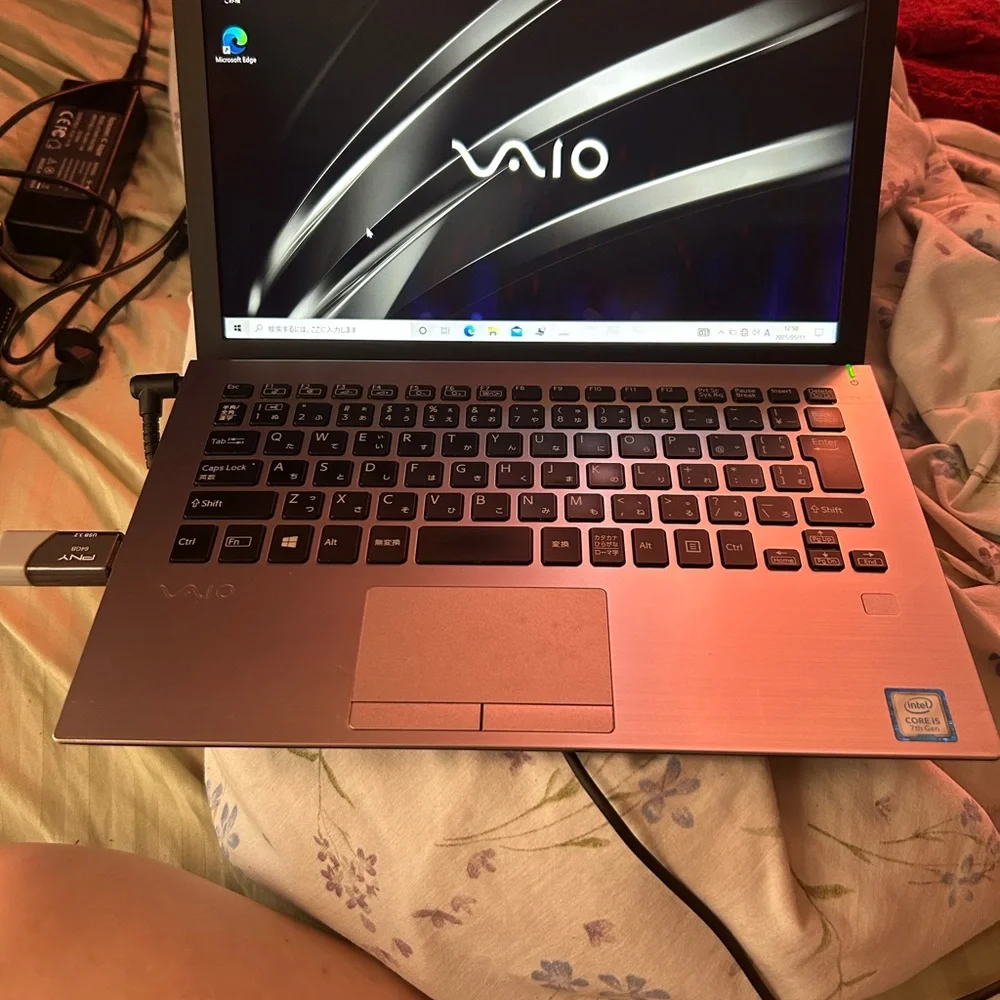 Sony VAIO Sleek Silver Laptop
